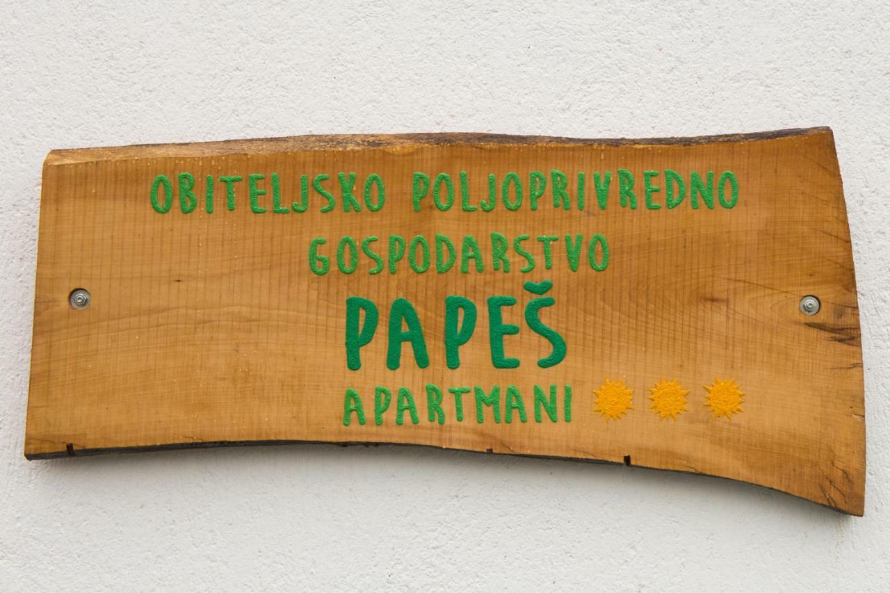 Apartmani Papes Krapina Dış mekan fotoğraf